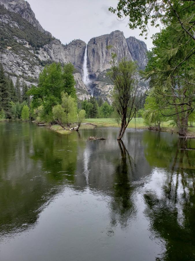Yosemite Foothill Retreat Ξενοδοχείο Coarsegold Εξωτερικό φωτογραφία